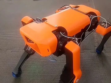 Robot Dog